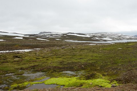 16700F2013___16196 Col sur la route 93 entre Egilsstaðir et Seyðisfjörður (altitude d'environ 600m)