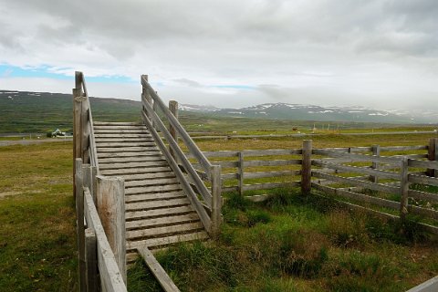 19100F2013___16430 Près de la Geirsstaðakirkja à hróarstungu (route 925), enclos à bétail