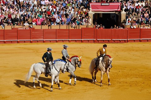 F2012___18956 Feria de Seville: corrida 