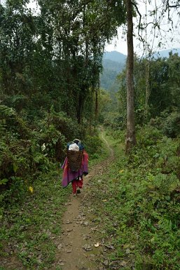 38600F2015___03547 En route pour le village de Pangi, village de la tribu Adi Minyiong, village d'origine de nos hôtes de Rani (près de Pasighat), alltitude 480m. Bien que le...