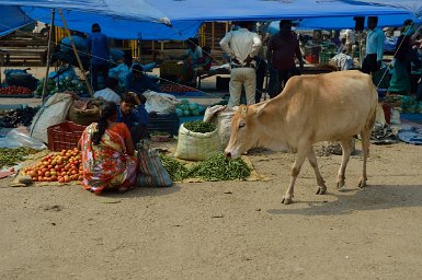 38100F2015___03492 Pasighat, le marché. chacun peut y trouver quelquechose. Attention cependant par temps de pluie, les rues défoncées, pleines de flaques profondes, sont...