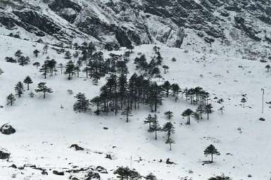 08600F2015___00682 Début de la descente de Sela pass vers Tawang