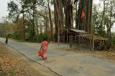 61700F2015___05586 A 20km de Chongkham, petit temple à Dangria baba (dieu de la forêt?)