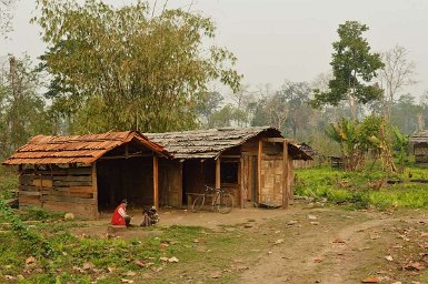 F2015___05519 Près de Chongkam, dans la forêt, se trouve la tribu Mishmi (comme à Aohali). Ici maisons à toit en ecorce dans la forêt.