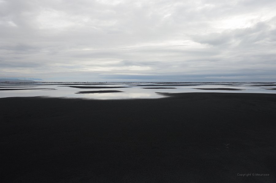 230F2013   15641