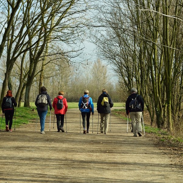 Marche nordique Petite marche nordique d'une dizaine de kilomètres, au parc de Miribel, sous la conduite souriante de Christine Lalice....