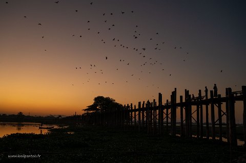 20191119__00164-10 Lever de soleil sur le pont u bein,