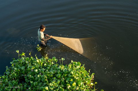20191119__00164-104 Pêcheur à l'épervier près des jacinthes d'eau au petit matin sur le lac Taung Tha man près du Pont u bein,