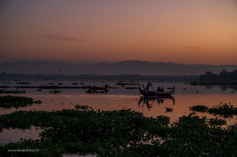 20191119__00164-16 Pêcheurs au petit matin entre les jacinthes d'eau sur le lac Taung Tha man près du Pont u bein,