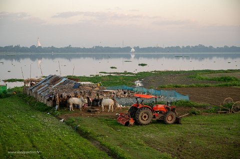 20191119__00164-67 Cultures et élevage de volailles au pied du pont u bein,