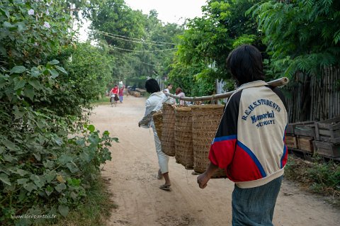 20191123__00303-53 Marché à Maing Thauk: le marché du lac, appelé marché des cinq jours change chaque du lundi au vendredi entre Nam Pan , In Dein, Phaung Daw Oot, Maing Thauk ,...
