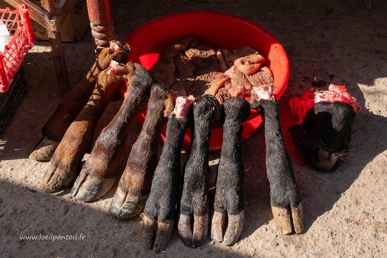 20230519__00201-90 Marché de Khiva, devant tous les stands de boucherie les pattes des animaux vendus sont présentées. Elles sont utilisées avec les têtes dans des plats...