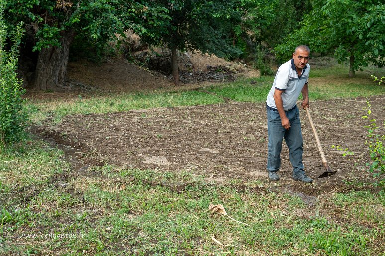 20230526__00761-6 Asraf, détournement matinal de l'eau pour irriguer les bonnes plantes