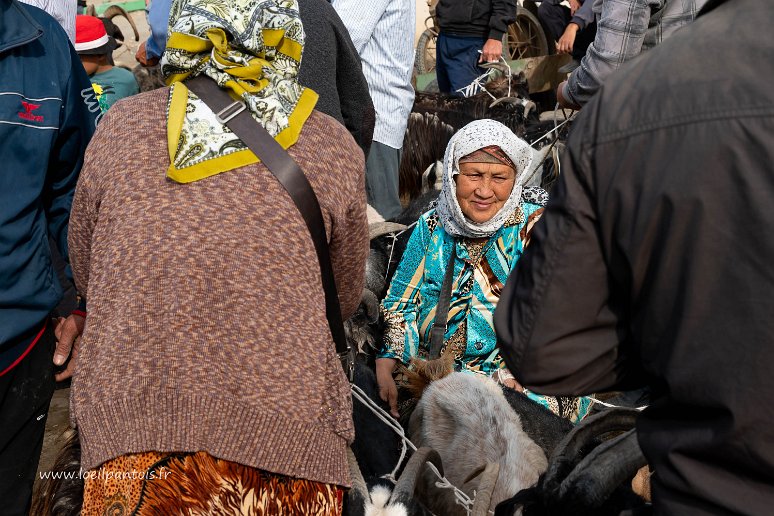 20230514__00307-7 Marché hebdomadaire aux bestiaux de khodzhelyli près de Noukous