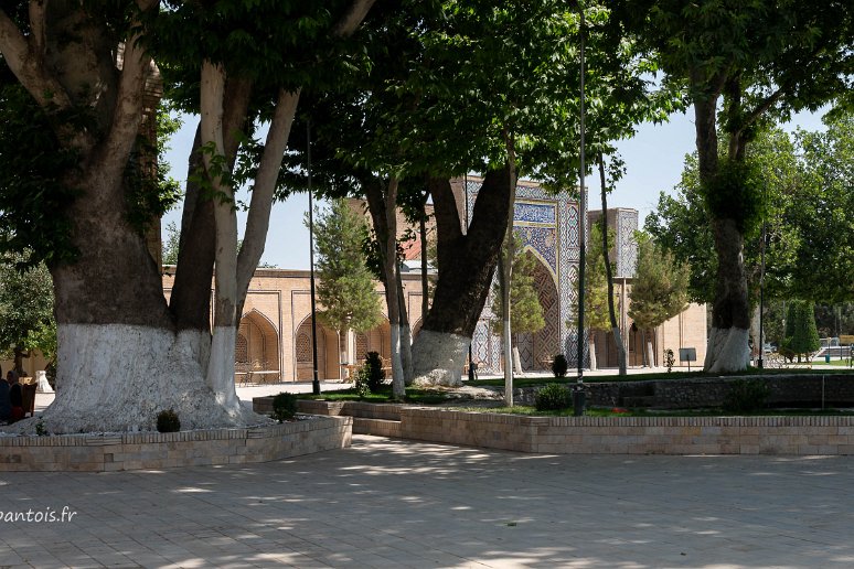 20230530__00183-89 Ensemble Khodja Akrar, vue de la médersa de Nadir Dévonbegi au travers du bosquet de platanes supposés plantés en 1788 autour du bassin