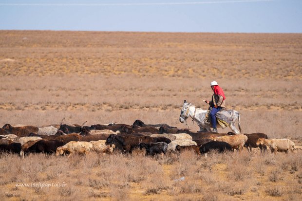 De Boukhara à Djizak Une petite semaine à l'écart des grands flux touristiques pour passer de Boukhara à Samarcande, par le nord, Navoy, le...