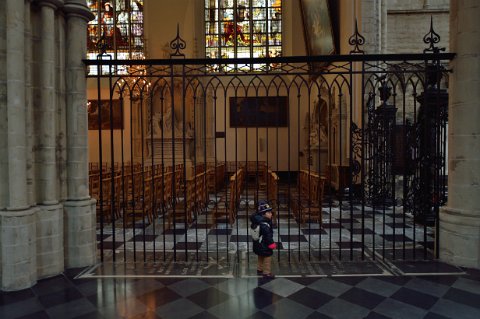 F2014___00451 Cathédrale des Saints Michel et Gudule