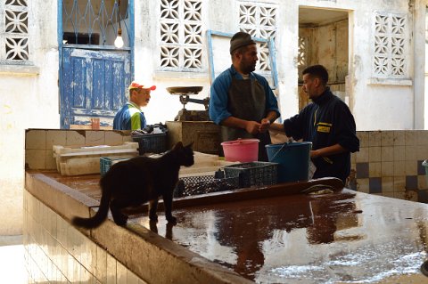 090F2013___07270 FEZ ville nouvelle, marché central, un oeil discret veille