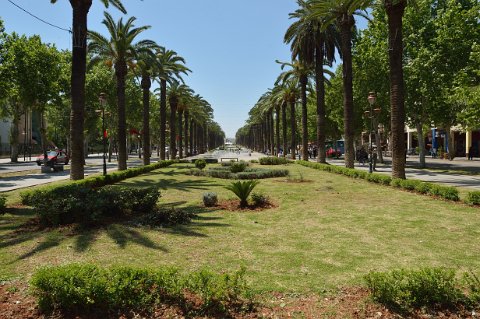 100F2013___07273 Fez ville nouvelle, Avenue Hassan II