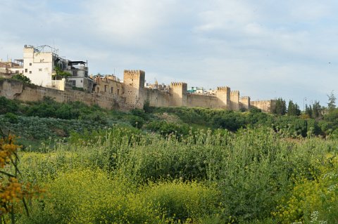 015F2013___06875 Remparts extérieurs Kasbah Nouar