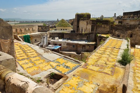 740F2013___07064 Tanneries Aïn Azliten