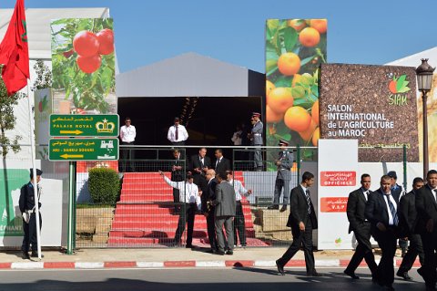 050F2013___07397 Entrée VIP du salon international de l'agriculture,