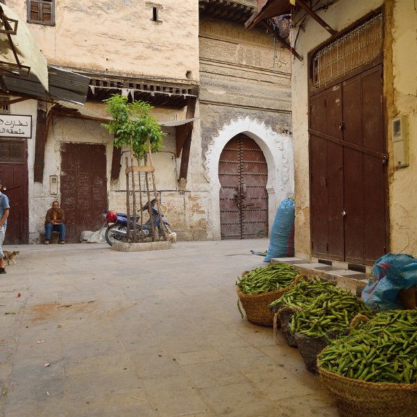 Fez Medina au petit matin L'heure où les chats confient aux humains la garde de leur royaume