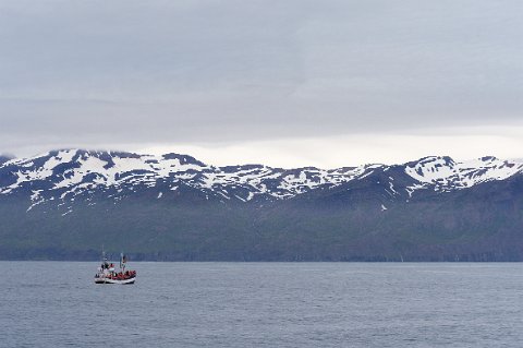 20350F2013___16591 Vue du Viknafjöll depuis Skjalfandi, le fjord d'Husavik