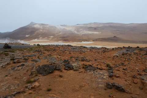 23005F2013___16915 Myvatn, au pied du magnifique et brulant Namafjall, la zone de Hverir offre aux visiteurs ses marmites de boues sulfuriques et le sifflement de ses multiples...