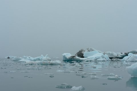 13100F2013___15854 ...On observe les canoes qui circulent entre les icebergs...