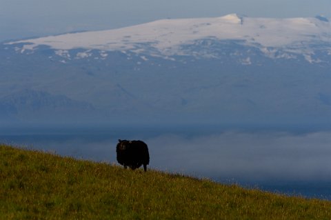 03050F2013___15083 On y distingue même, par temps clair, le tristement célèbre Eyjafjallajökull.