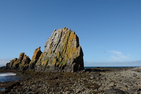 30200F2013___17635 Péninsule de Vatnsnes Ouest, rocher d'Anastaðastapi