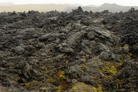 105F2013___16652 Parc naturel du Vatnajökull Nord, Vesturdalur site de Hljodaklettar. Partie d'un champ de lave.