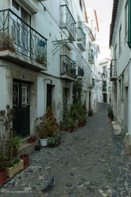 Lisbonne 1er mai 2017 Sous le belvédère de Santa Luzia