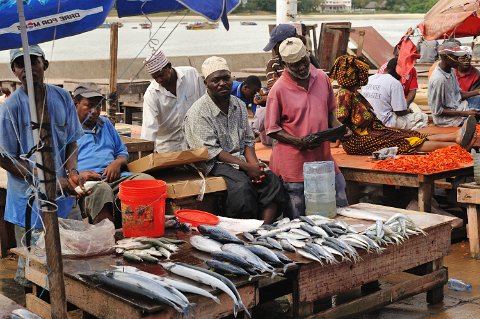 _002000-F2010___6337 Dar Es Salam (Tanzanie): Port de pêche