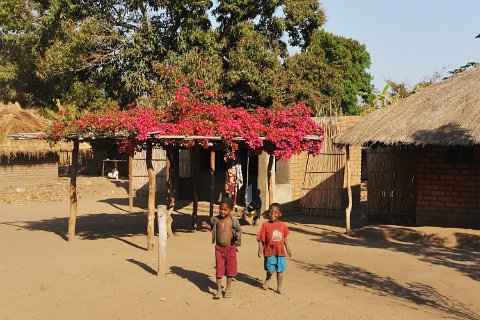 _846000-F2010___12428 Mozambique, de Cobue à Lichinga, village