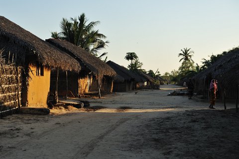 _108000-F2010___7329 Mozambique, Guludo, matin tôt et froid d'hiver, maison de makuti (toit en feuilles séchées de palmier à noix de coco)