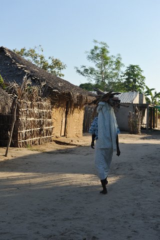 _108300-F2010___7372 Mozambique, Guludo, matin tôt et froid d'hiver