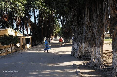 _438000-F2010___9697 Mozambique, Ilha de Mozambique, avenue du 25 juin (avenue centrale de l'ile, célébrant l'indépendance en 1975)