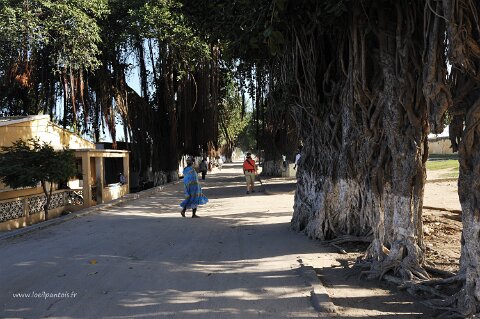 _438000-F2010___9697 Mozambique, Ilha de Mozambique, avenue du 25 juin