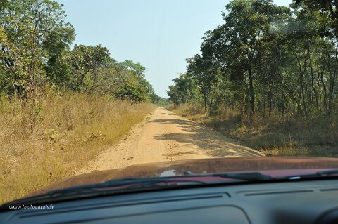 _702000-F2010___11195 Mozambique, près de Cobue: route de metangula à Cobue