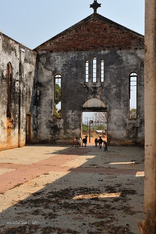 _703000-F2010___11208 Mozambique, près de Cobue, Eglise de Cobue