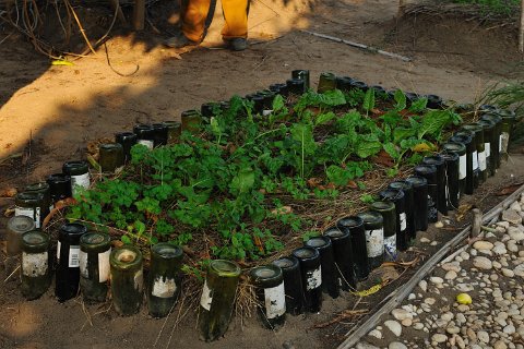 _791000-F2010___12124 Mozambique, près de Cobue, Manda Wilderness Agricultural Project
