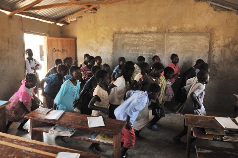_811000-F2010___12221 Mozambique, près de Cobue, école primaire de Mbueca, dans les classes