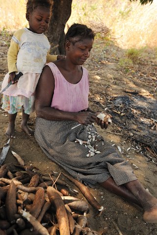 _818000-F2010___12268 Mozambique, près de Cobue, épluchage du Manioc