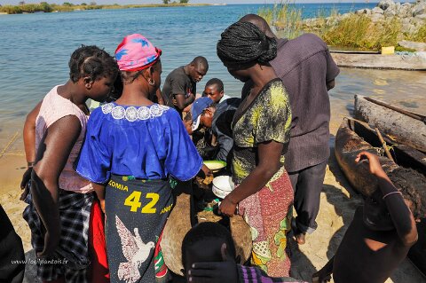 _648000-F2010___10911 Mozambique, Nkolongue, près de Metangula, attente au retour de pêche