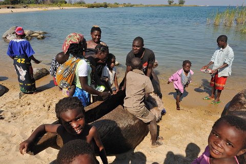 _649000-F2010___10914 Mozambique, Nkolongue, près de Metangula, retour de pêche
