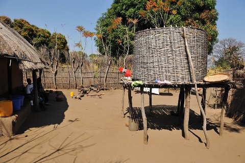 _653000-F2010___10932 Mozambique, Nkolongue, près de Metangula, reserve à manioc