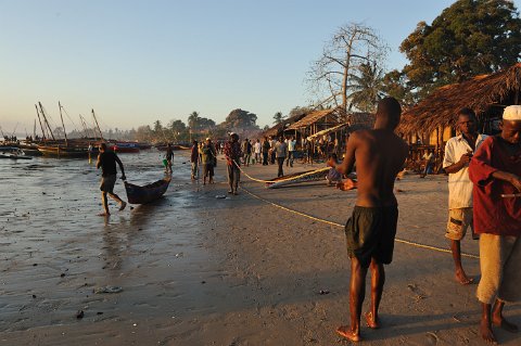 _330000-F2010___8984 Mozambique, Mocimboa di Praia, le Port au petit matin: fabrication de cordes