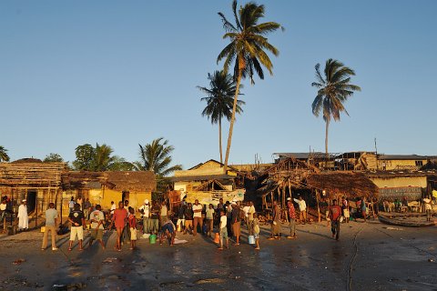 _336000-F2010___8993 Mozambique, Mocimboa di Praia, le Port au petit matin